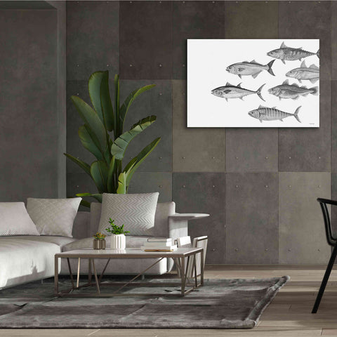 Image of 'Variety of Fish II' by Cindy Jacobs, Canvas Wall Art,60 x 40