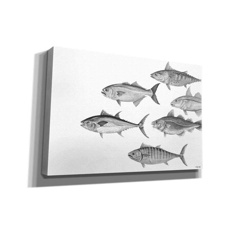 Image of 'Variety of Fish II' by Cindy Jacobs, Canvas Wall Art