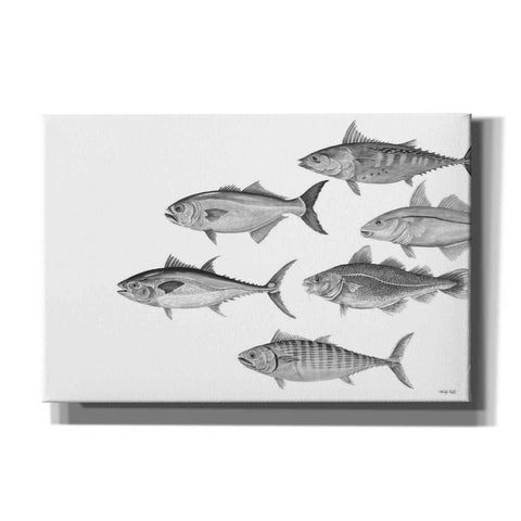 Image of 'Variety of Fish II' by Cindy Jacobs, Canvas Wall Art