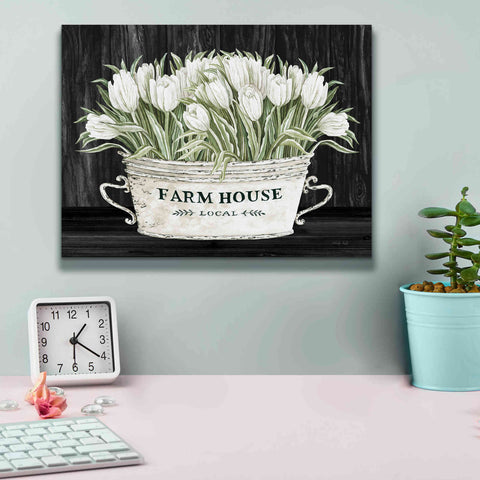 Image of 'Farmhouse Tulips' by Cindy Jacobs, Canvas Wall Art,16 x 12