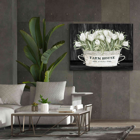 Image of 'Farmhouse Tulips' by Cindy Jacobs, Canvas Wall Art,54 x 40