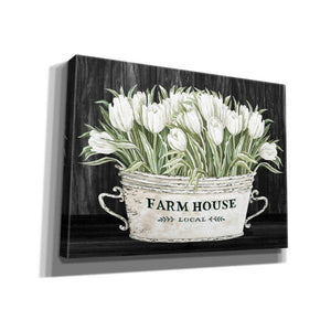 'Farmhouse Tulips' by Cindy Jacobs, Canvas Wall Art