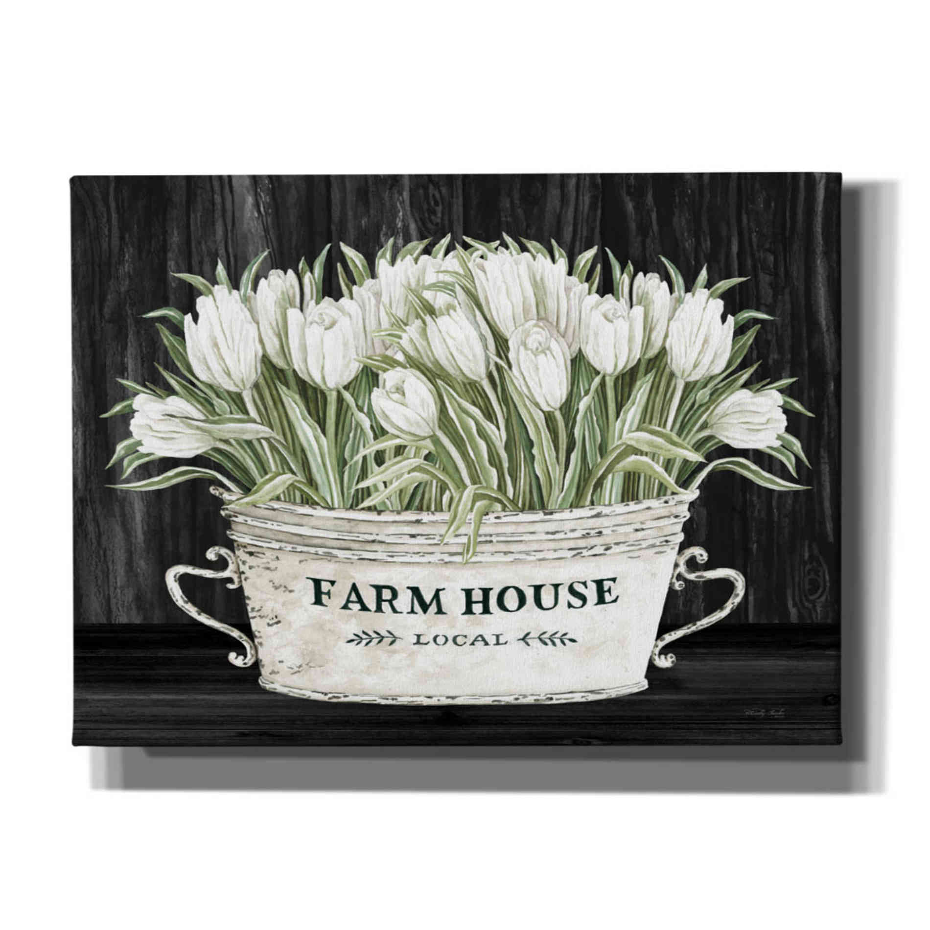 'Farmhouse Tulips' by Cindy Jacobs, Canvas Wall Art