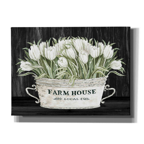 Image of 'Farmhouse Tulips' by Cindy Jacobs, Canvas Wall Art
