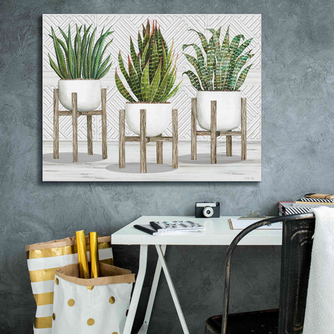 Image of 'Succulent Trio on Stands' by Cindy Jacobs, Canvas Wall Art,34 x 26