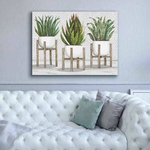 Image of 'Succulent Trio on Stands' by Cindy Jacobs, Canvas Wall Art,54 x 40