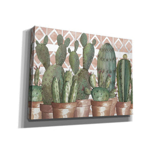 'Geo Succulents' by Cindy Jacobs, Canvas Wall Art