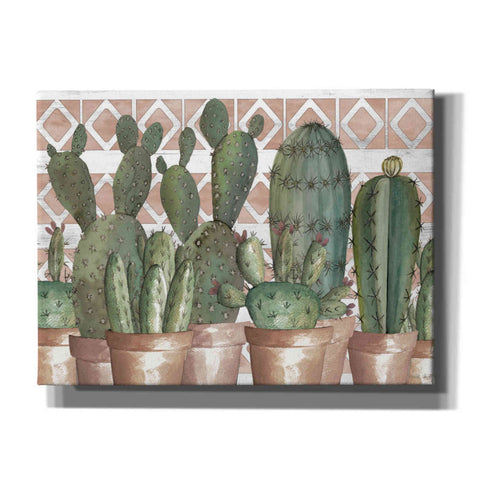 Image of 'Geo Succulents' by Cindy Jacobs, Canvas Wall Art