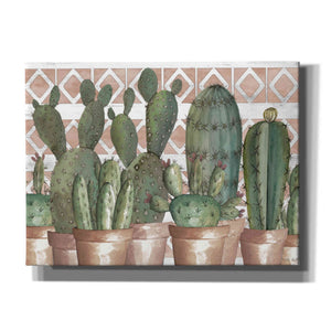 'Geo Succulents' by Cindy Jacobs, Canvas Wall Art