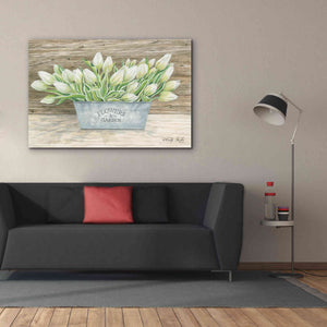 'Flowers & Garden Tulips' by Cindy Jacobs, Canvas Wall Art,60 x 40