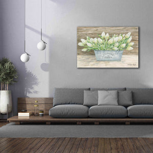 'Flowers & Garden Tulips' by Cindy Jacobs, Canvas Wall Art,60 x 40