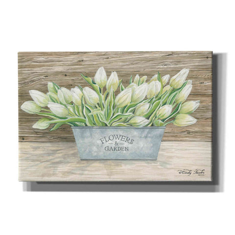 Image of 'Flowers & Garden Tulips' by Cindy Jacobs, Canvas Wall Art