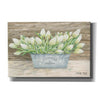 'Flowers & Garden Tulips' by Cindy Jacobs, Canvas Wall Art