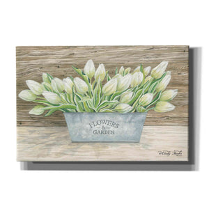 'Flowers & Garden Tulips' by Cindy Jacobs, Canvas Wall Art