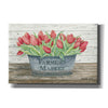 'Farmer's Market Tulips' by Cindy Jacobs, Canvas Wall Art