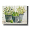 'Eucalyptus Farmer's Market' by Cindy Jacobs, Canvas Wall Art