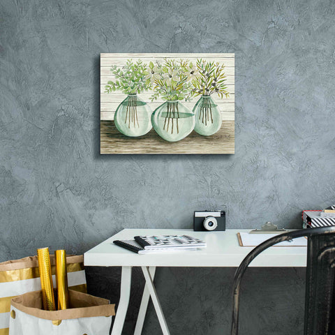 Image of 'Eucalyptus in Glass Vases' by Cindy Jacobs, Canvas Wall Art,16 x 12