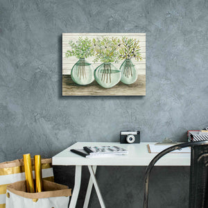 'Eucalyptus in Glass Vases' by Cindy Jacobs, Canvas Wall Art,16 x 12