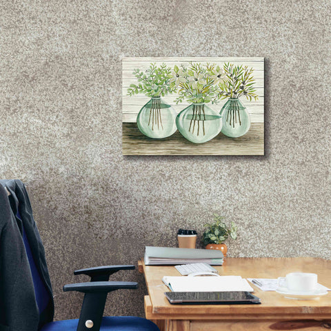 Image of 'Eucalyptus in Glass Vases' by Cindy Jacobs, Canvas Wall Art,26 x 18