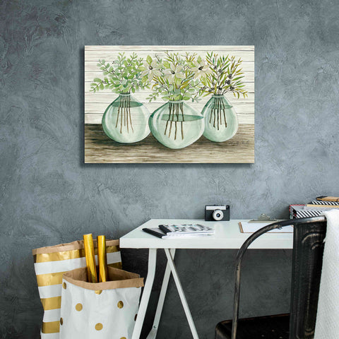 Image of 'Eucalyptus in Glass Vases' by Cindy Jacobs, Canvas Wall Art,26 x 18