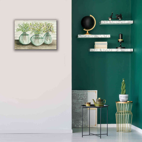 Image of 'Eucalyptus in Glass Vases' by Cindy Jacobs, Canvas Wall Art,26 x 18