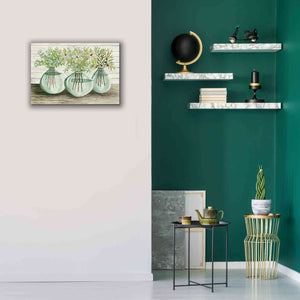 'Eucalyptus in Glass Vases' by Cindy Jacobs, Canvas Wall Art,26 x 18