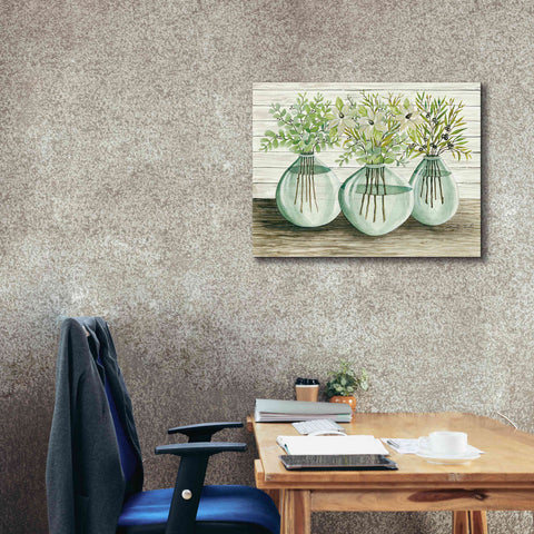 Image of 'Eucalyptus in Glass Vases' by Cindy Jacobs, Canvas Wall Art,34 x 26