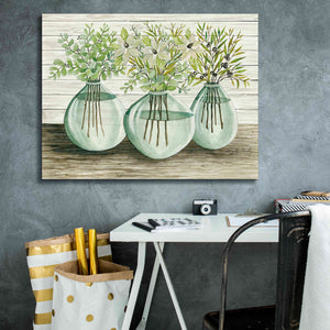 'Eucalyptus in Glass Vases' by Cindy Jacobs, Canvas Wall Art,34 x 26