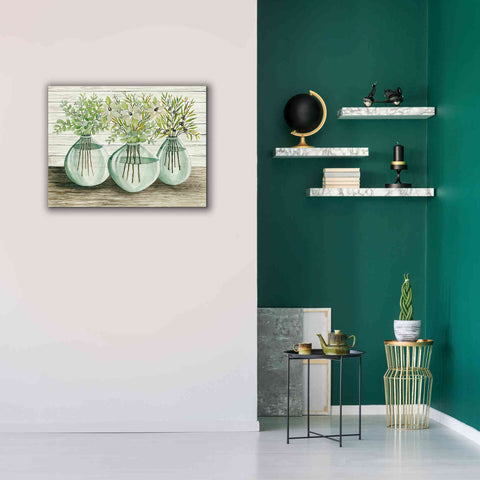 Image of 'Eucalyptus in Glass Vases' by Cindy Jacobs, Canvas Wall Art,34 x 26