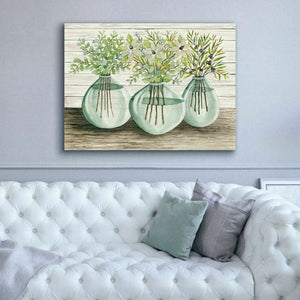 'Eucalyptus in Glass Vases' by Cindy Jacobs, Canvas Wall Art,54 x 40