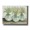 'Eucalyptus in Glass Vases' by Cindy Jacobs, Canvas Wall Art