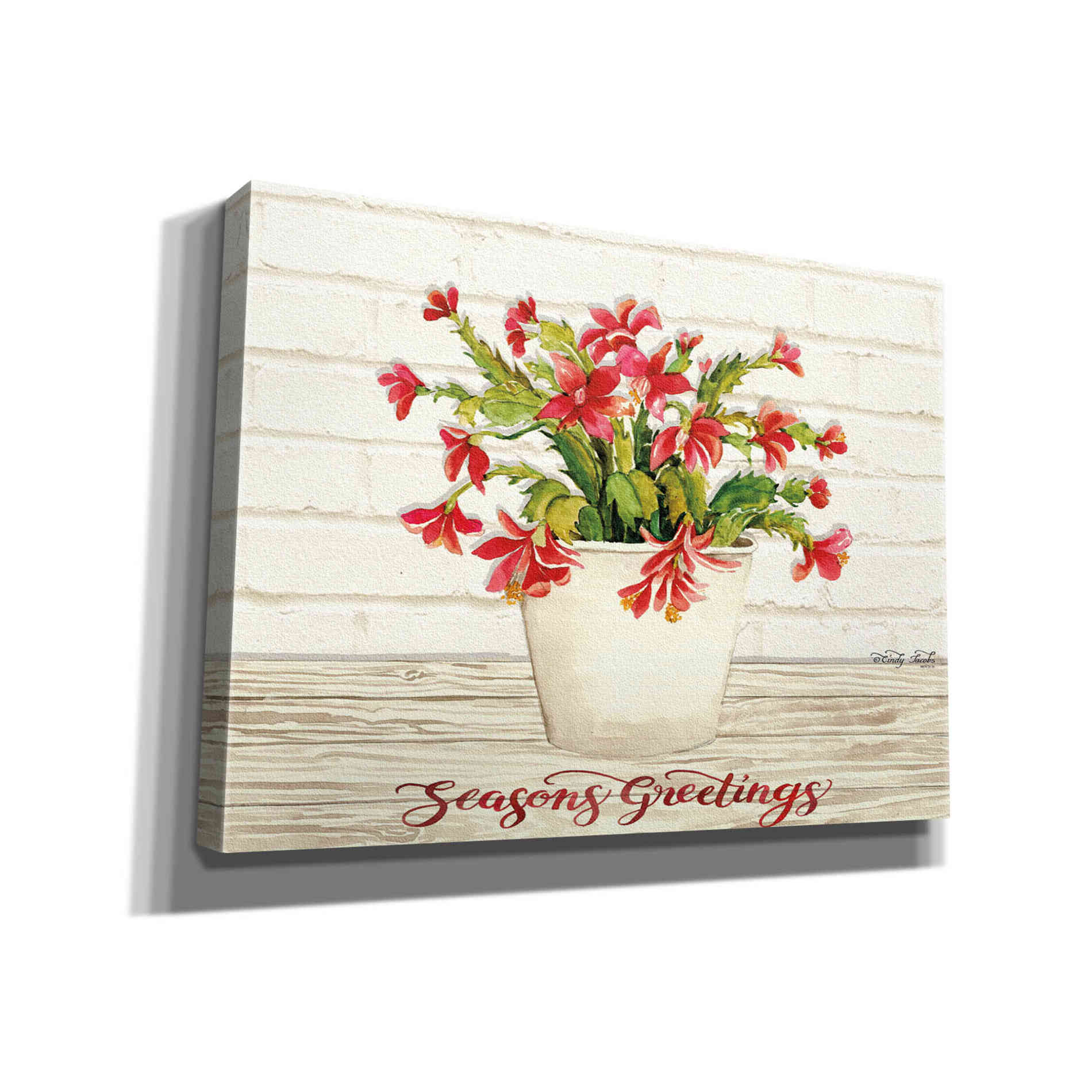 'Christmas Cactus - Season's Greetings' by Cindy Jacobs, Canvas Wall Art
