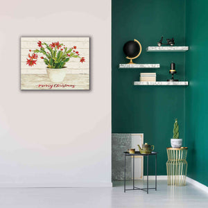 'Christmas Cactus - Merry Christmas' by Cindy Jacobs, Canvas Wall Art,34 x 26