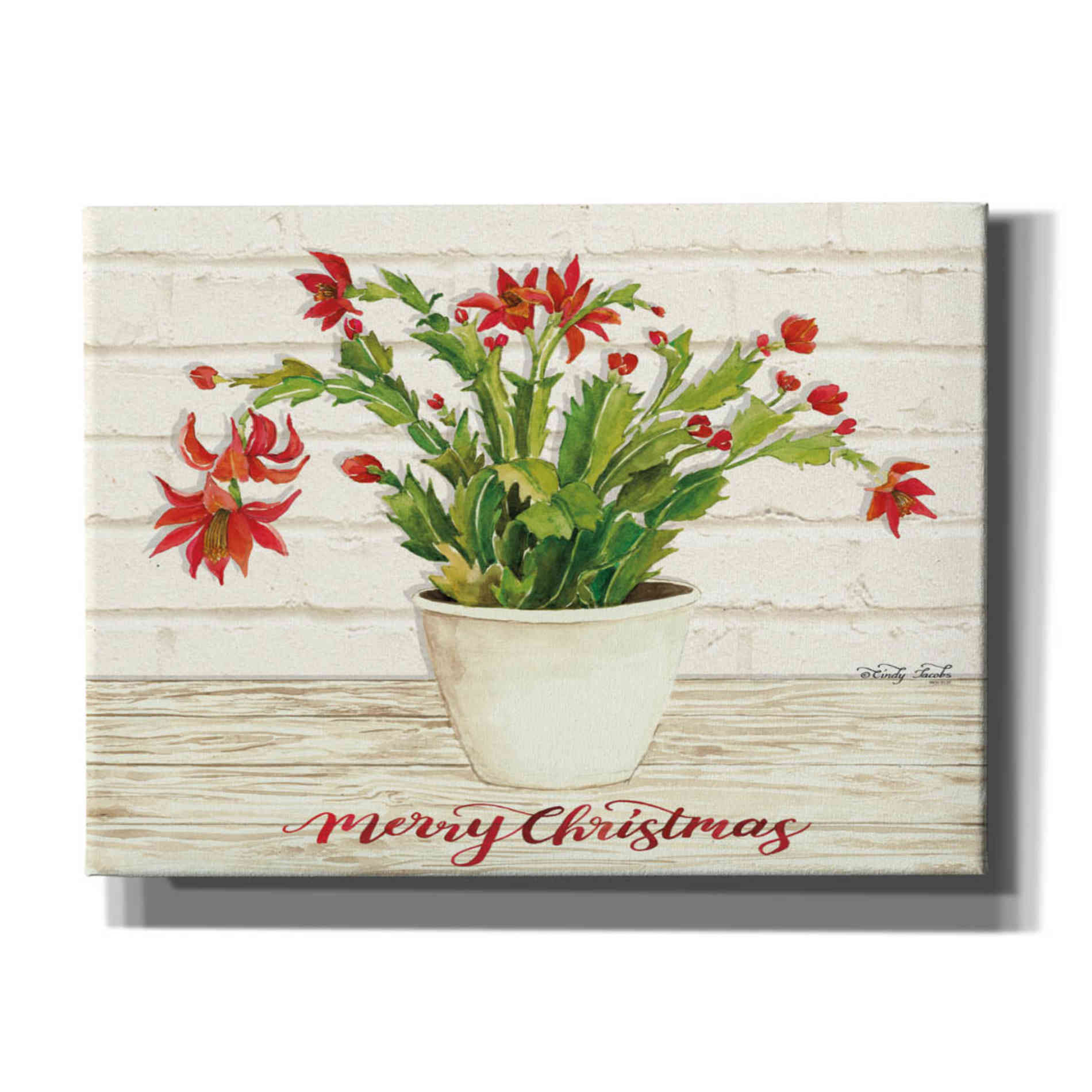 'Christmas Cactus - Merry Christmas' by Cindy Jacobs, Canvas Wall Art