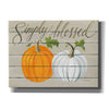 'Simply Blessed Pumpkins' by Cindy Jacobs, Canvas Wall Art
