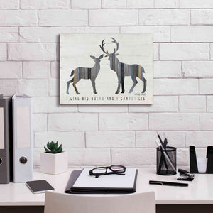 'I Like Big Bucks' by Cindy Jacobs, Canvas Wall Art,16 x 12