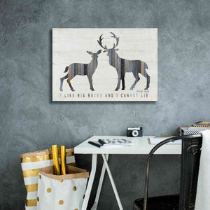 'I Like Big Bucks' by Cindy Jacobs, Canvas Wall Art,26 x 18