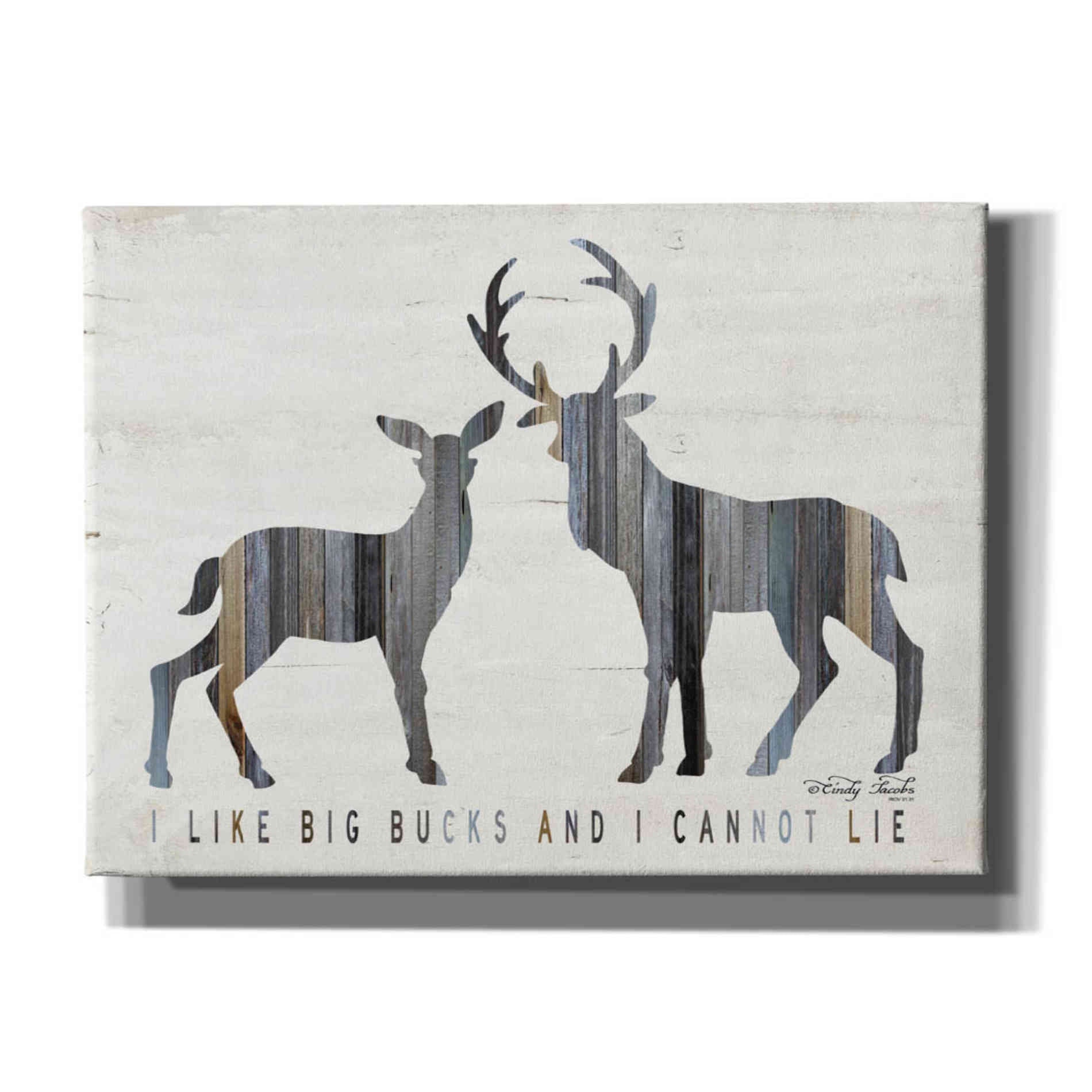'I Like Big Bucks' by Cindy Jacobs, Canvas Wall Art