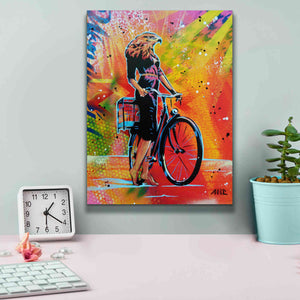 'Cycle Soaring' by AbcArtAttack, Canvas Wall Art,12 x 16