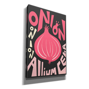 'Kitchen Onion' by Ayse, Canvas Wall Art