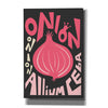 'Kitchen Onion' by Ayse, Canvas Wall Art