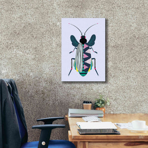 'Beetle' by Ayse, Canvas Wall Art,18 x 26