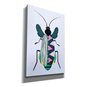 'Beetle' by Ayse, Canvas Wall Art