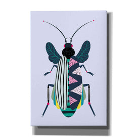 'Beetle' by Ayse, Canvas Wall Art