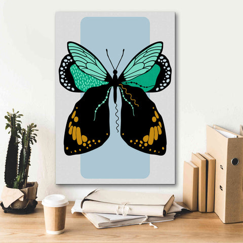 Image of 'Butterfly' by Ayse, Canvas Wall Art,18 x 26