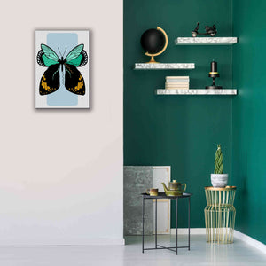 'Butterfly' by Ayse, Canvas Wall Art,18 x 26