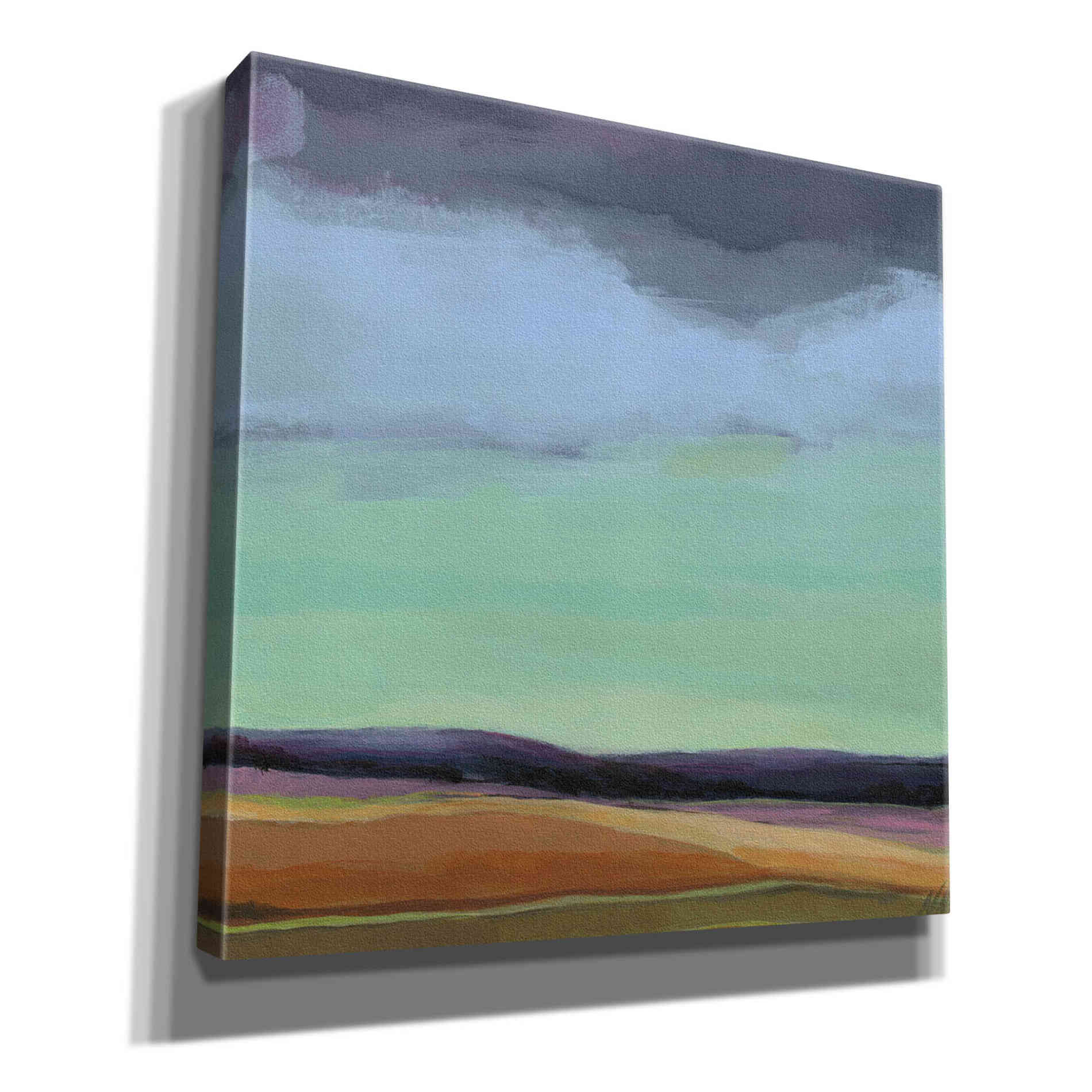 'Too Much Walking' by Niki Arden, Canvas Wall Art