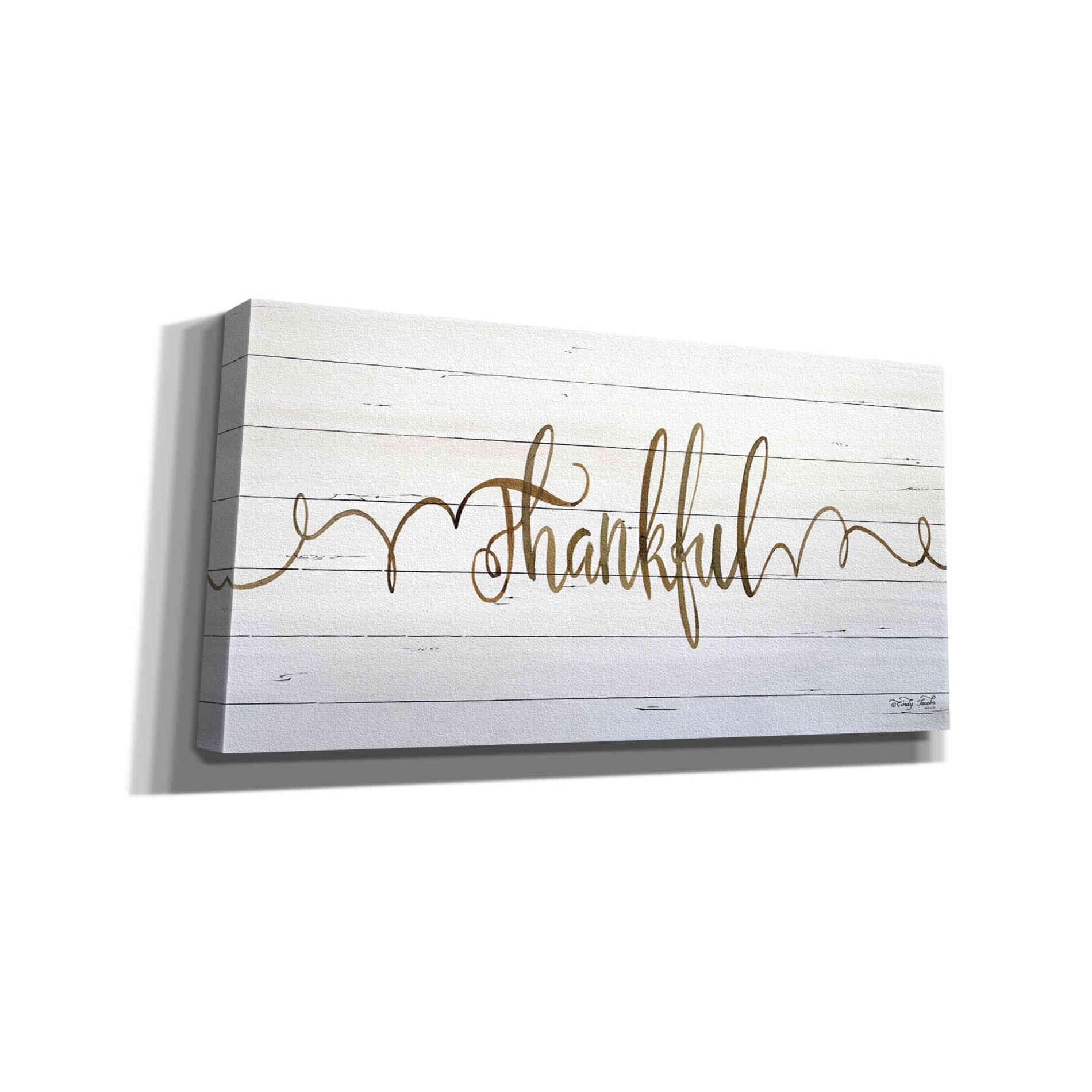'Thankful' by Cindy Jacobs, Canvas Wall Art