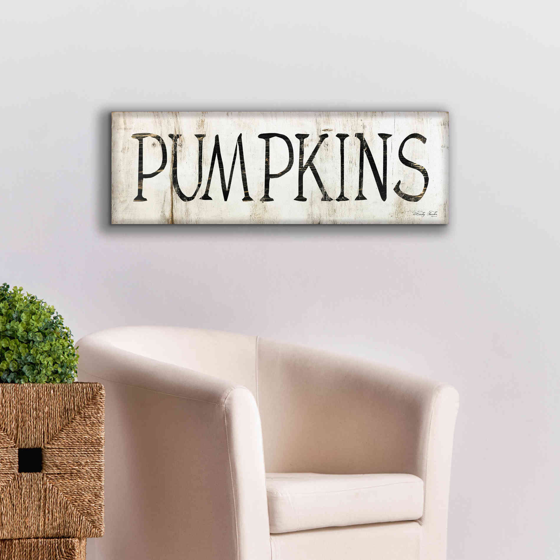 'Pumpkins' by Cindy Jacobs, Canvas Wall Art,36 x 12
