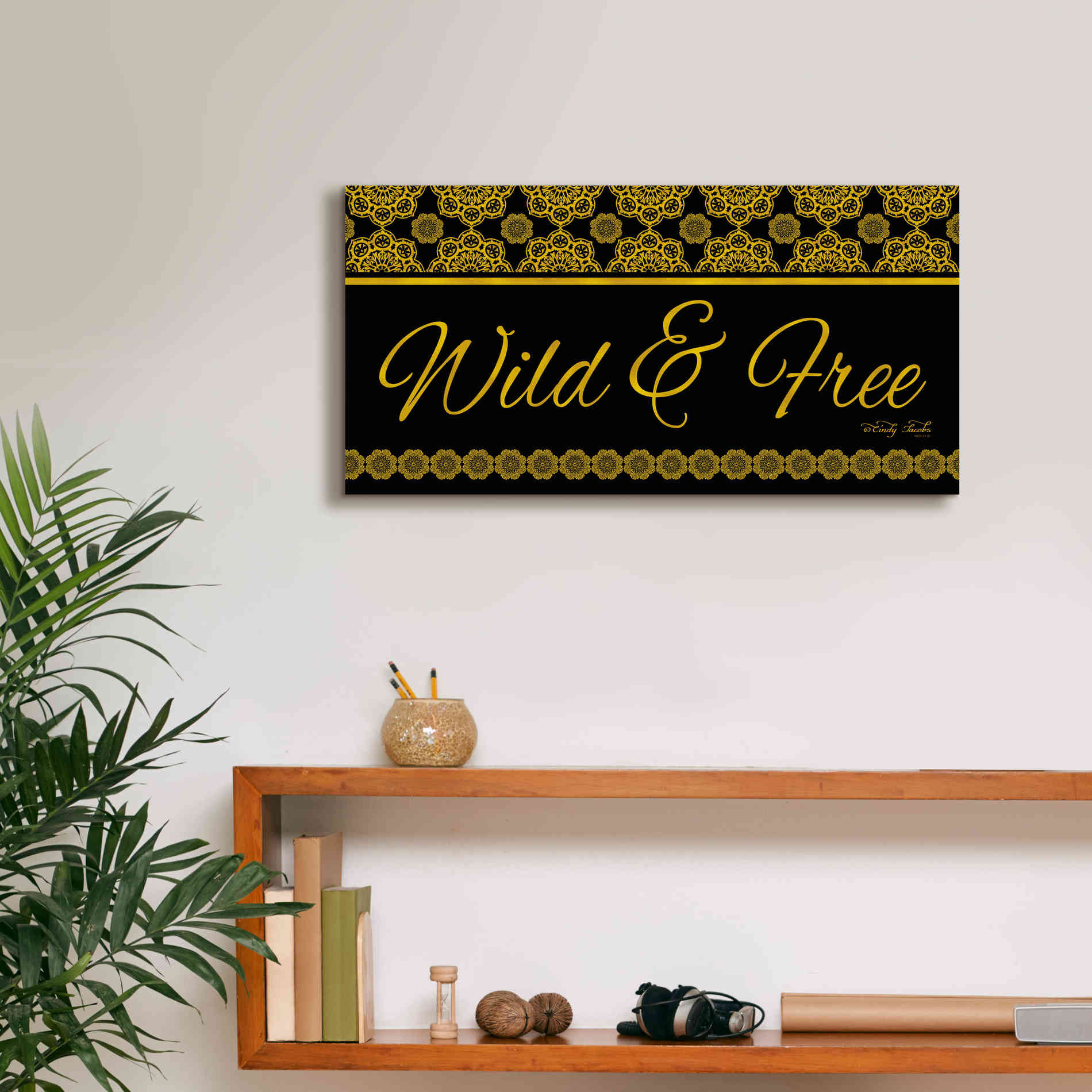 'Wild and Free Mandals' by Cindy Jacobs, Canvas Wall Art,24 x 12